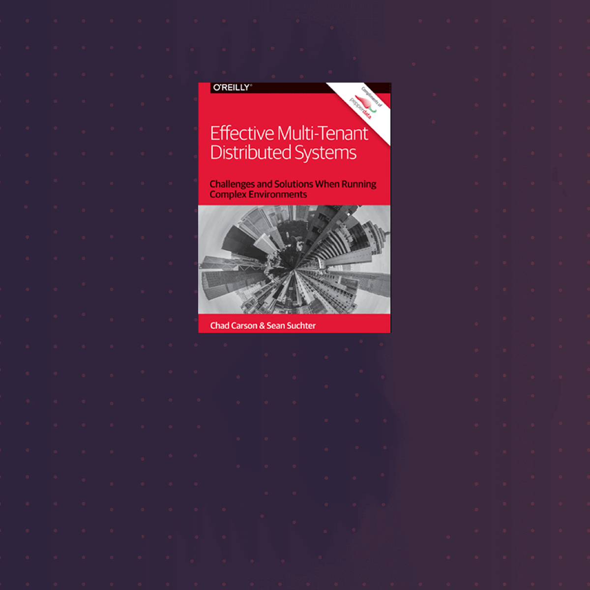 Effective Multi-Tenant Distributed Systems: Challenges and Solutions When Running Complex Environments