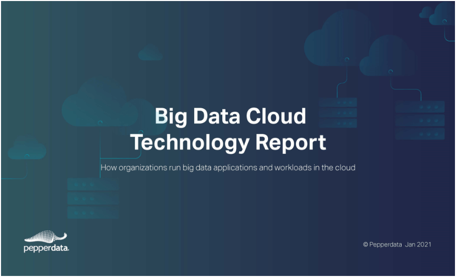 Big Data Cloud Technology Report 2021