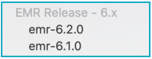 emr releases